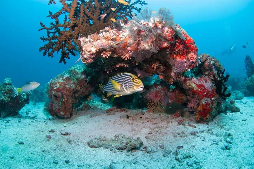 Maldives: Discover Scuba Diving - Learning the equipment before going farther