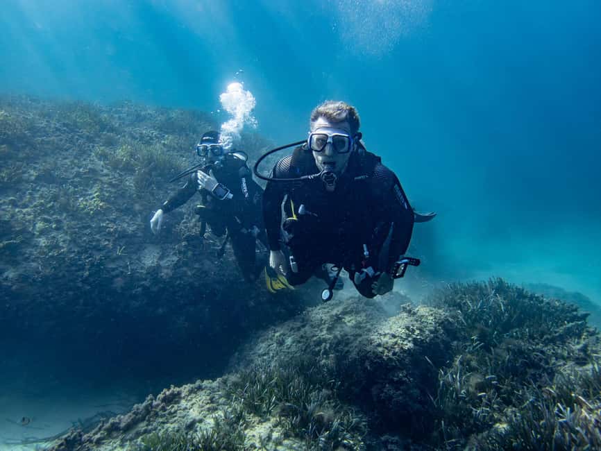 Mallorca: Adventure Diving (without a license - in the quiet off-season) - Fish, groupers, and the chance of an octopus