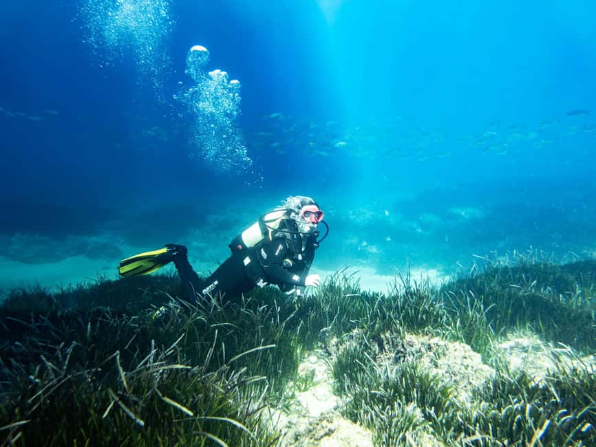 Mallorca: Adventure Diving (without a license - in the quiet off-season) - Is $112 a fair price?