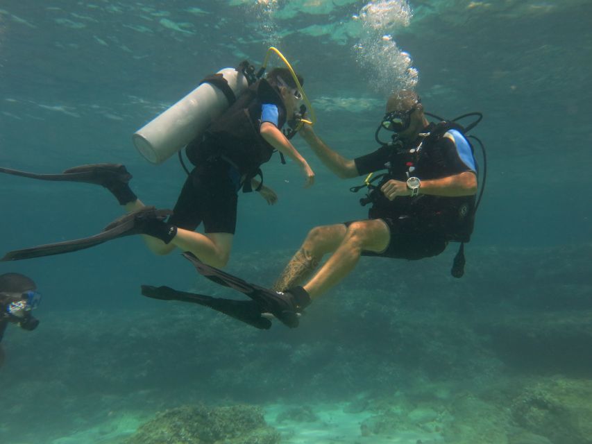 Mallorca: Discover Scuba Diving for Beginners - How the instructors shape the experience