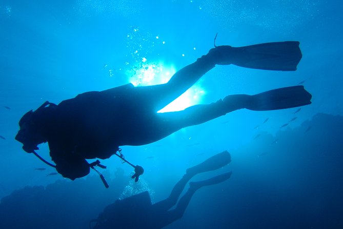 Mallorca: Discover Scuba Diving from the boat - What the $290.25 price includes