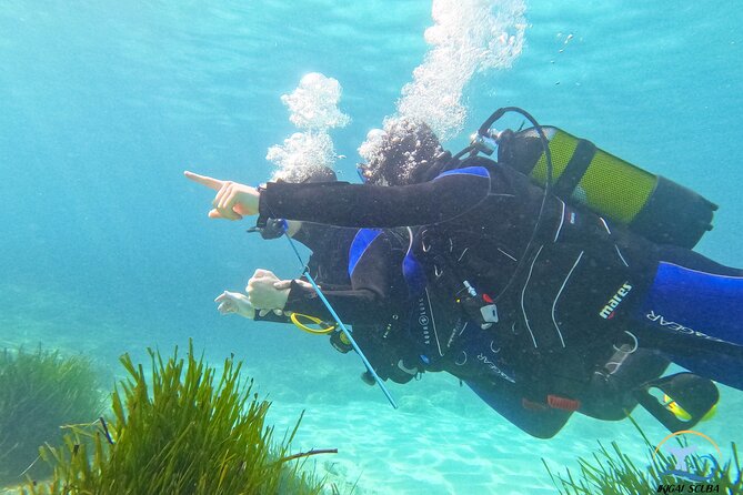 Mallorca PRIVATE Reservation<em>Scuba dive + photo/video – A calm first step into Mallorca’s underwater world’ /></p>
<p><p>This is designed for a first scuba experience, not for certified people seeking a long or technical route. The setting is deliberately controlled: a shore entry, a brief explanation on land, and shallow water where you can get used to breathing through the equipment.</p>
</p>
<p><p>The operator is a PADI five-star center in the Palma area. The meeting point is at Carrer Andreu Ferret, 1, in Bendinat, about 15 minutes by car from Palma for the actual underwater location. Private transportation is not included, so you need to arrange your own ride to the meeting point and back.</p>
</p>
<p><p>I see the private format as the real reason to choose this outing. A beginner often needs a few extra minutes to settle down, clear their head, or get used to the feeling of a mask and regulator. With just one instructor for two people, Alex or Jose can keep an eye on both of you rather than dividing attention among a large class.</p>
</p>
<h2>Ten minutes of theory before you enter the water</h2>
<p>Scuba dive + photo/video – Ten minutes of theory before you enter the water’ /></p>
<p><p>The land briefing takes about 10 minutes and uses simple English. It covers the basic equipment, breathing, and what to do as you get comfortable in the water. If you need French, the center provides online theory by phone, and the material is available in more than 24 languages.</p>
</p>
<p><p>That short briefing is not a full certification course. It is an orientation for this supervised introduction. You learn enough to understand the equipment and follow the instructor’s directions, then practice the key skills in the water.</p>
</p>
<p><p>The operator says you do not need to know how to swim. That does not mean the water skills are optional. You still need to complete the required medical form and follow the instructor’s guidance. If you have a medical concern, read the provided medical information before booking and check with a qualified medical professional if needed.</p>
</p>
<div class="twil" style="margin: 20px 0; padding: 15px 0;"><p>More Scuba Diving in Mallorca</p><ul style="margin: 10px 0; padding-left: 0; list-style: none;"><li style="margin: 0 0 12px 0; padding: 0 0 12px 0; border-bottom: 1px solid #DDEAEE; line-height: 1.4;"><a href="https://divingescapes.com/mallorca-discover-scuba-diving-for-beginners/">Mallorca: Discover Scuba Diving for Beginners</a><br><span style="font-size: 0.82em; color: #555;"><span style="color: #0B6B84;">★</span> 4.7 · 805 reviews</span></li><li style="margin: 0 0 12px 0; padding: 0 0 12px 0; border-bottom: 1px solid #DDEAEE; line-height: 1.4;"><a href="https://divingescapes.com/santa-ponsa-try-scuba-diving-in-a-marine-reserve/">Santa Ponsa: Try Scuba Diving in a Marine Reserve</a><br><span style="font-size: 0.82em; color: #555;"><span style="color: #0B6B84;">★</span> 4.9 · 172 reviews</span></li><li style="margin: 0; padding: 0; border-bottom: none; line-height: 1.4;"><a href="https://divingescapes.com/private-beginner-scuba-experience-in-mallorca/">Private Beginner Scuba experience in Mallorca</a><br><span style="font-size: 0.82em; color: #555;"><span style="color: #0B6B84;">★</span> 5.0 · 117 reviews</span></li></ul></div><h2>Starting at 1 meter makes a real difference</h2>
<p><img width="669" height="446" decoding="async" src=
