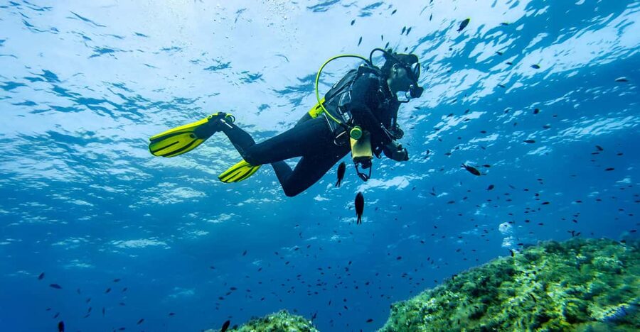 Mallorca: Scuba Dive Adventure Cap Formentor - 1 Dive (license required) - Starting at Bonaire with the right paperwork