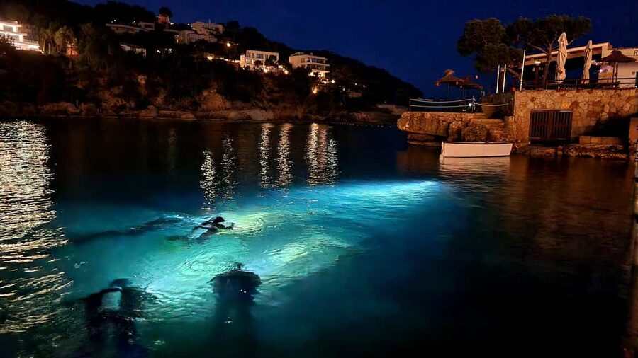 Mallorca: Scuba Diving for Beginners - Key points at a glance