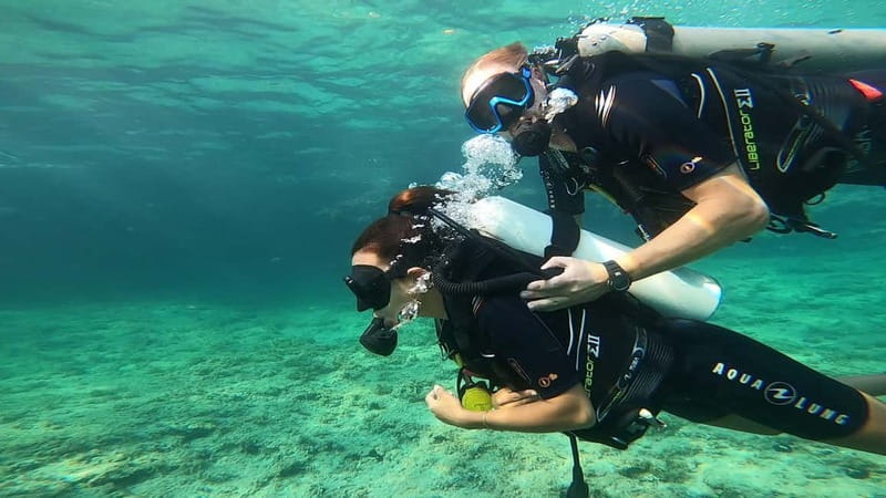 Mallorca: Scuba Diving for Beginners - What this Mallorca introduction really offers
