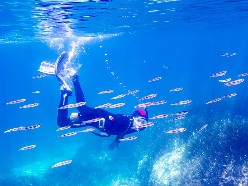 Mallorca: Snorkeling tour with diving instructor from a boat - Cap de Formentor - Starting at SCUBANEO in Pollença Bay