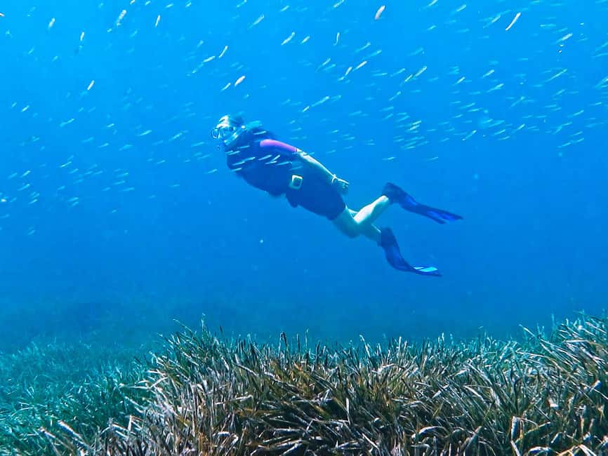 Mallorca: Snorkeling tour with diving instructor from a boat - Cap de Formentor - Should you book the Cap de Formentor snorkeling tour?