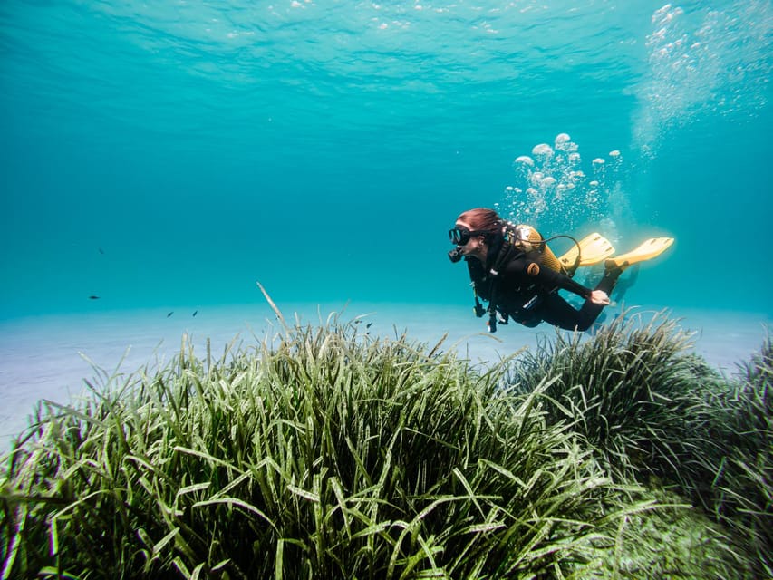 Mallorca: Try Scuba Diving by Boat - How This Compares With a Standard Boat Trip
