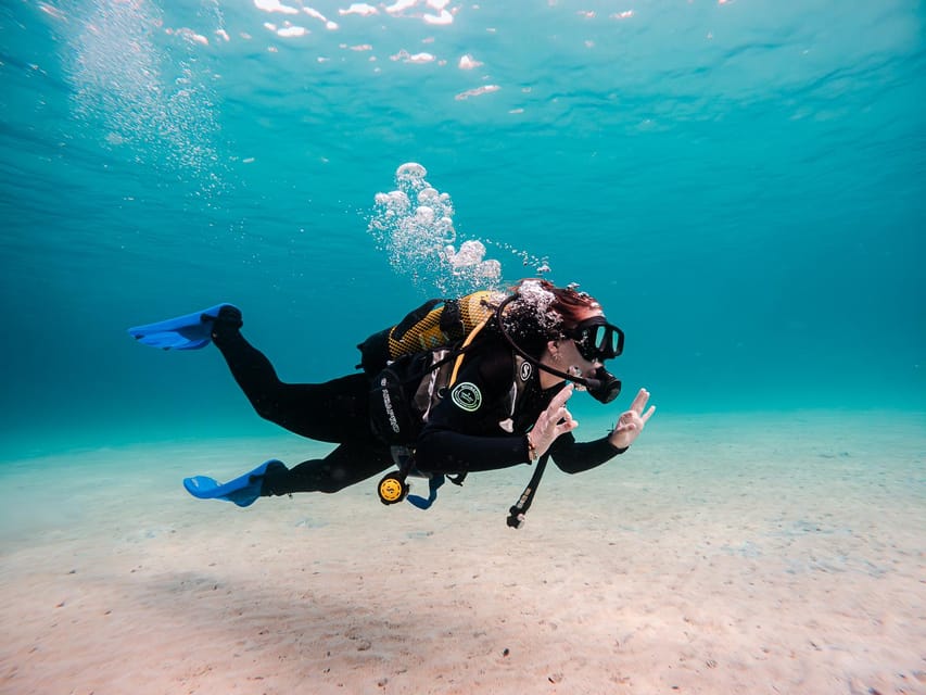 Mallorca: Try Scuba Diving by Boat - What You See Beneath Mallorca’s Clear Water
