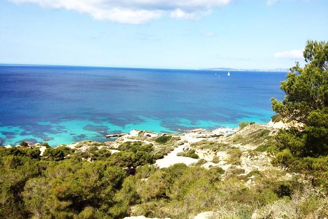 Mallorca: Try Scuba Diving in a Beautiful Nature Reserve - Entering Cala Delta Bay from shore
