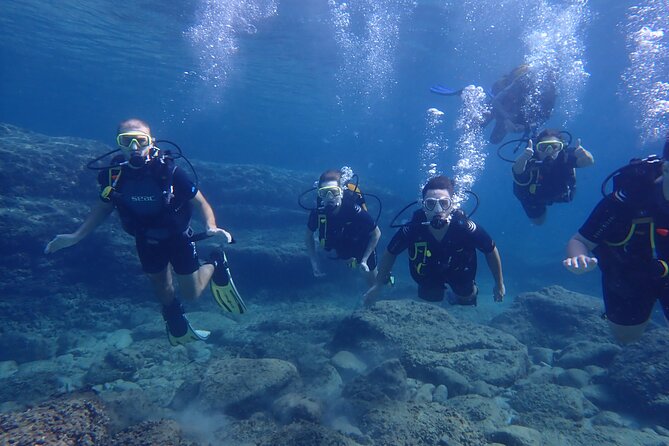 Mallorca: Try Scuba Diving in a Beautiful Nature Reserve - What you see beneath the surface