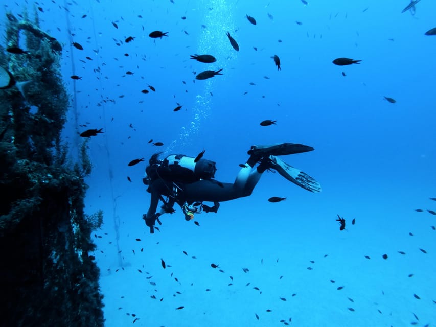 Malta: 2 Scuba Fun Dives for Certified divers - Why Malta works so well for a short scuba outing