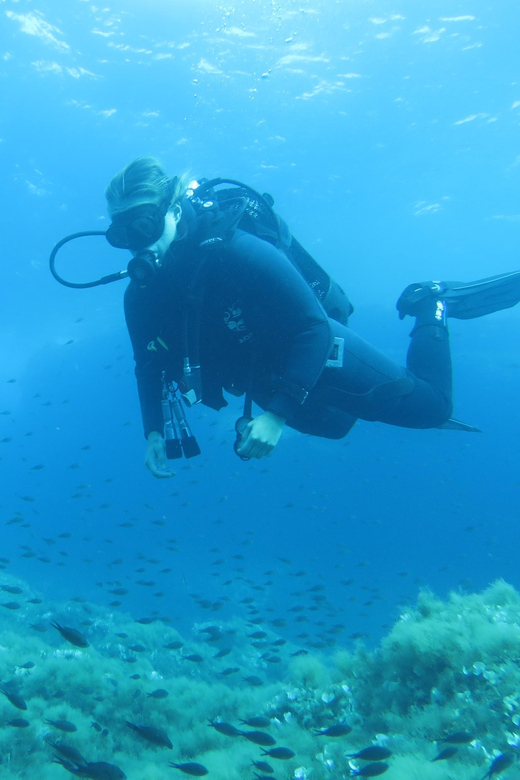 Malta: 2 Scuba Fun Dives for Certified divers - Who will get the most from this experience