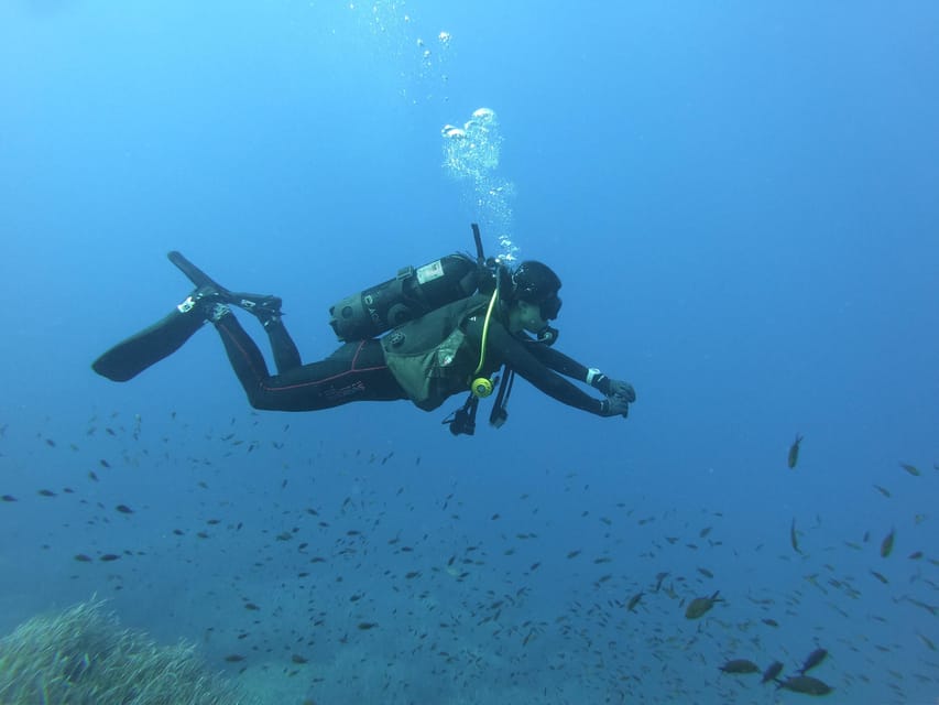 Malta: 2 Scuba Fun Dives for Certified divers - Final decision: should you book it?