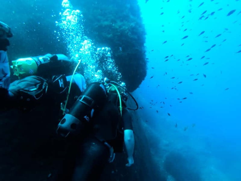 Malta: First Experience Scuba Diving Lesson - What this Malta scuba lesson really offers