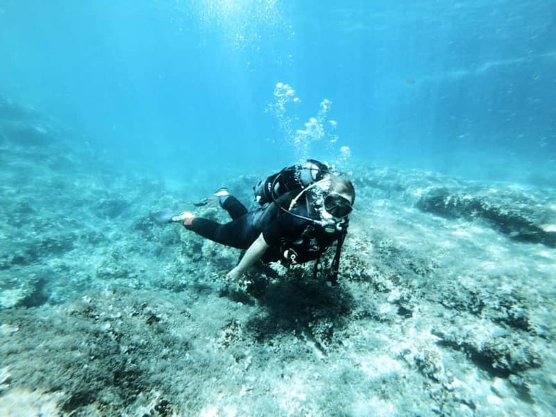 Malta: First Experience Scuba Diving Lesson - Before you arrive, complete the online theory