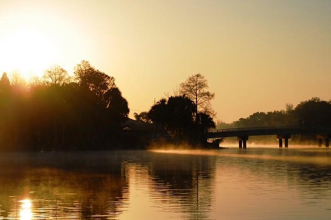 Manatee Snorkel Tour from American Pro Diving Center - What makes this Crystal River tour worth your time