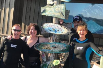 Manatee Snorkel Tour from American Pro Diving Center