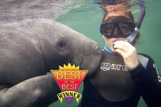 Manatee Snorkel Tour from American Pro Diving Center - How much value do you get for $65?