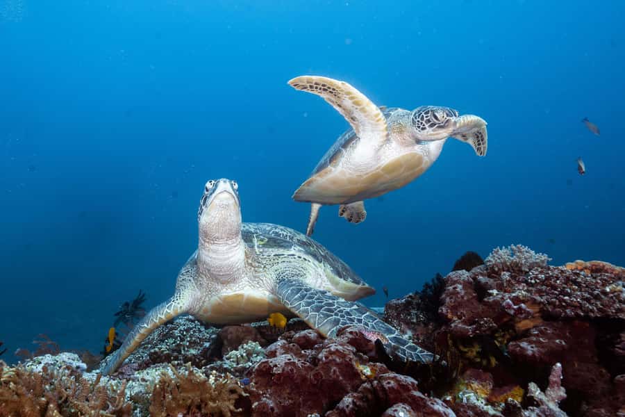 Manta Dive Gili Trawangan: Discover Scuba Diving - The boat ride to the Gili Islands