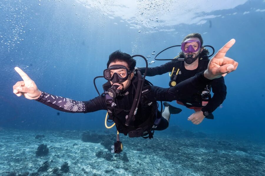 Manta Dive Gili Trawangan: Discover Scuba Diving - What you may see at 12 meters