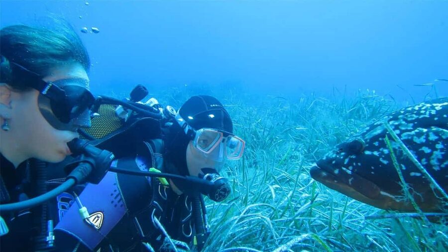Marina di Campo: Try diving on the island of Elba - Your first breaths beneath Elba’s coast