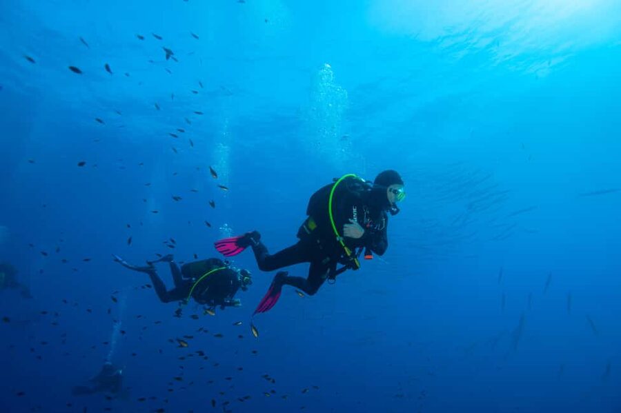 Marina di Campo: Try diving on the island of Elba - Getting fitted with the full equipment