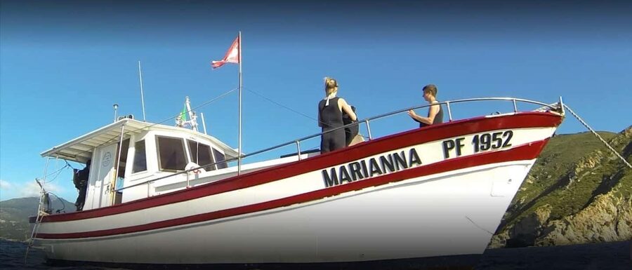 Marina di Campo: Try diving on the island of Elba - Twenty to 25 minutes of supervised underwater time