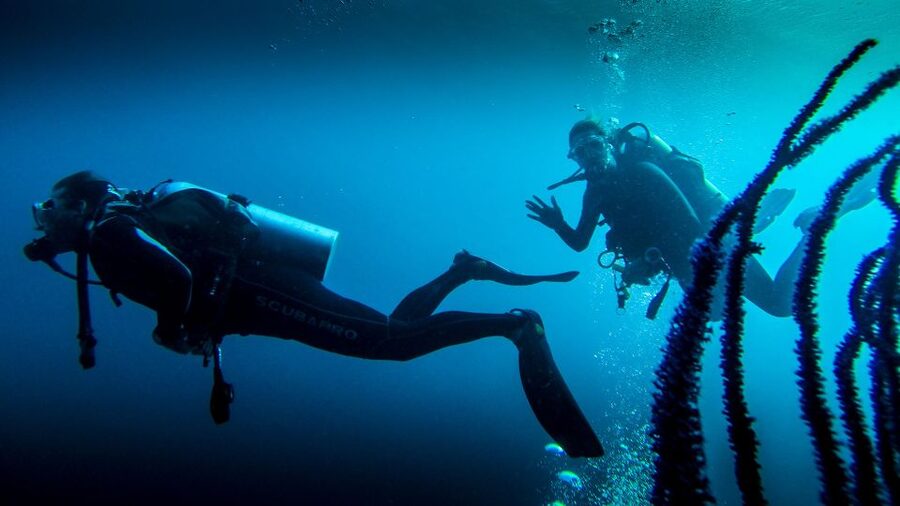 Marmaris: Scuba Diving Experience with 2 Dives and Lunch - Key points to know before booking
