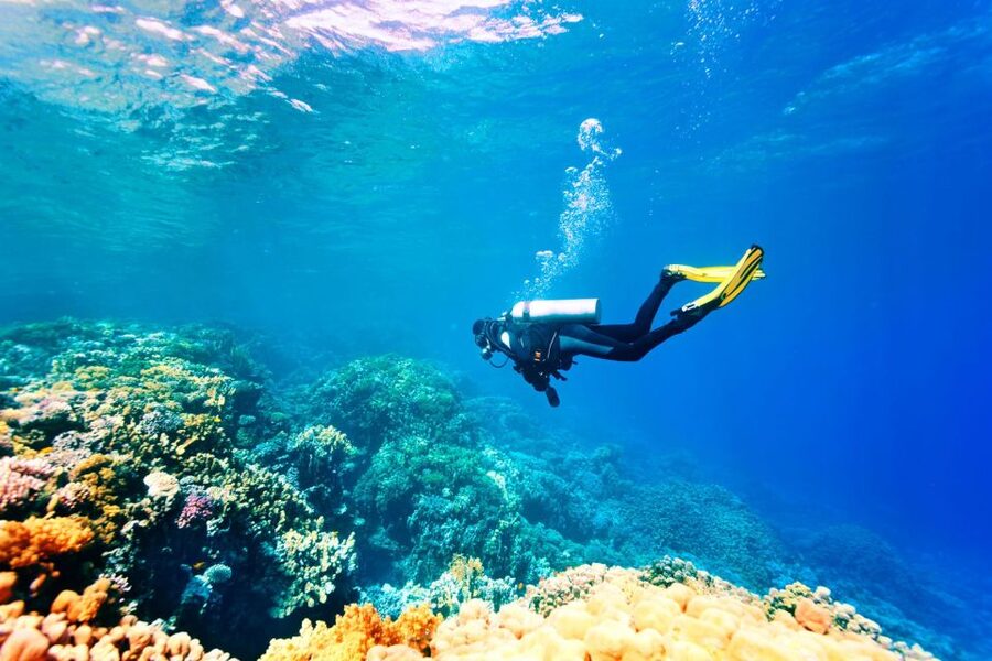 Marmaris: Scuba Diving Experience with 2 Dives and Lunch - The second session, up to 6 meters for beginners