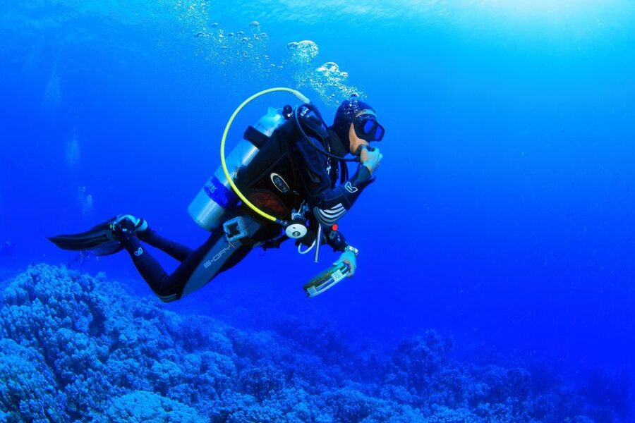 Marmaris: Scuba Diving Experience with 2 Dives and Lunch - What the $41 price really includes