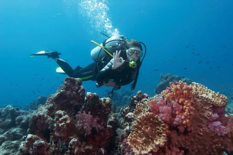 Marmaris: Scuba Diving, Incl. 2 Dive, Lunch w/Hotel Transfer - Key points at a glance