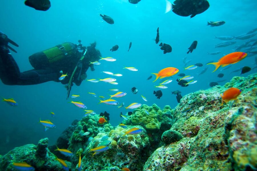 Marmaris: Scuba Diving with a Qualified Instructor - Why Marmaris works so well for a first underwater experience