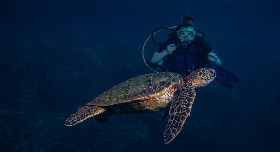 Maui: Intro to Scuba Diving from Shore - Lahaina - Is $160 a fair price?