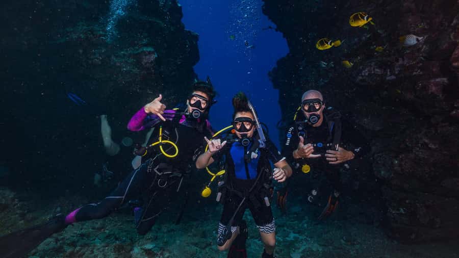 Maui: Intro to Scuba Diving from Shore - Lahaina - My call: a strong first step, with clear limits