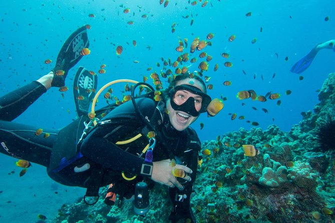 Maui Scuba Diving Introductory Lesson from Lahaina - The Lahaina shop lesson comes first