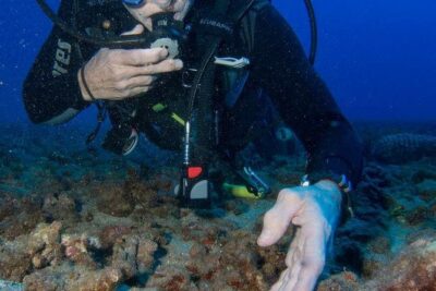 Maui Scuba Diving Introductory Lesson from Lahaina