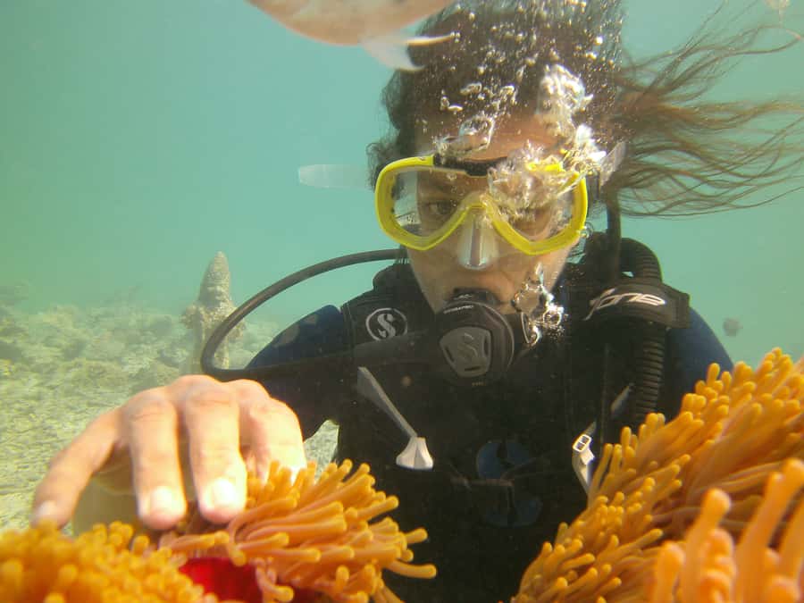 Mauritius: East Belle Mare Scuba Diving Tour - Why the instructors matter so much for beginners