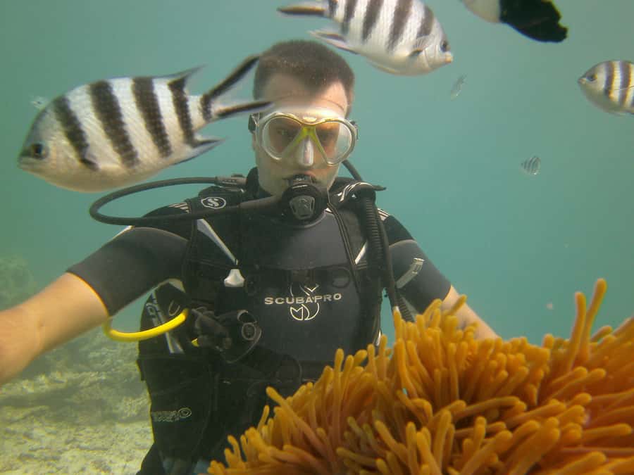Mauritius: East Belle Mare Scuba Diving Tour - What the $158 price gets you