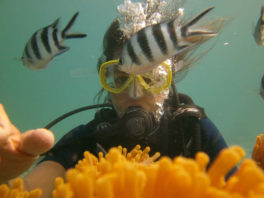 Mauritius: East Belle Mare Scuba Diving Tour - Who will enjoy this most