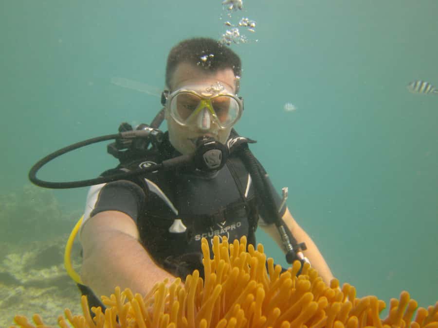 Mauritius: East Belle Mare Scuba Diving Tour - Practical preparation for a smoother session