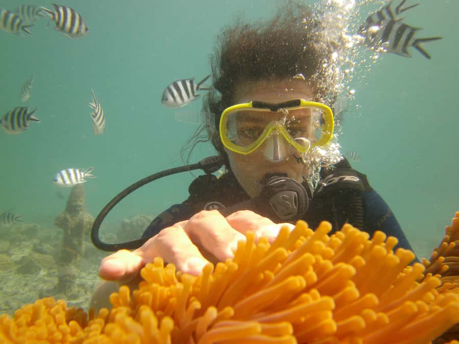 Mauritius: East Belle Mare Scuba Diving Tour - From shallow practice to Belle Mare’s open water