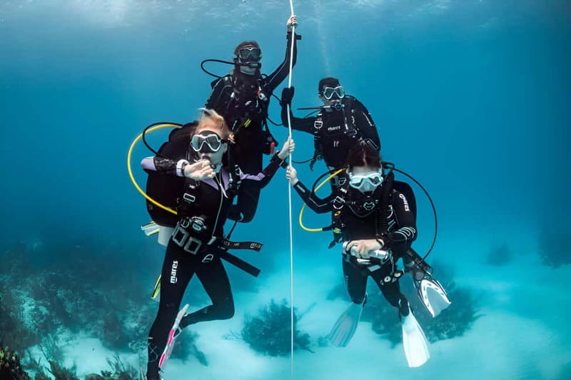 Mellieha: Introductory Diving Session in the Open Sea - What your first underwater session feels like