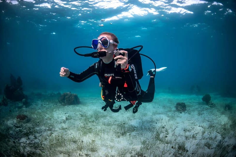 Mellieha: Introductory Diving Session in the Open Sea - The first descent in Malta’s Mediterranean