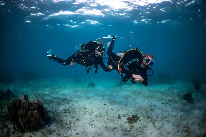 Mellieha: Introductory Diving Session in the Open Sea - Health rules you should take seriously
