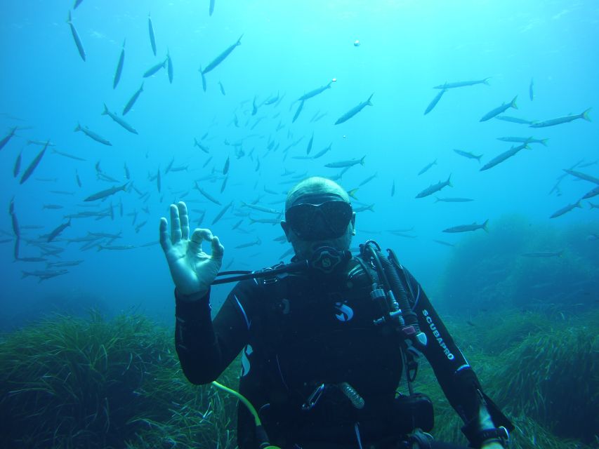 Menorca: Baptism Scuba Diving in Marine Reserve - Learning the basics before the boat leaves