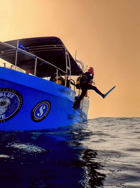 Menorca: Baptism Scuba Diving in Marine Reserve - What the underwater session feels like