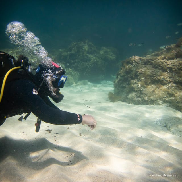 Menorca: Cala Galdana Try Scuba Diving for Beginners - The Price and What You Get for $85