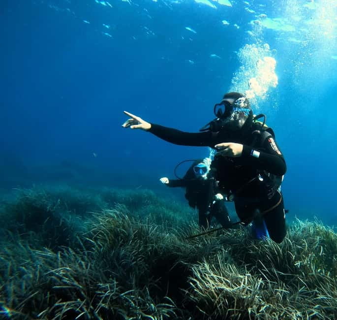 Menorca: Try scuba diving in Cala'n Bosch -BLUEWATER MENORCA - A beginner-friendly introduction at Cala en Bosch