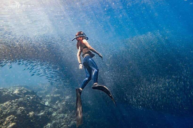 Moalboal: Scuba Diving and Pescador Island Hopping - The Day Begins With Hotel Pickup